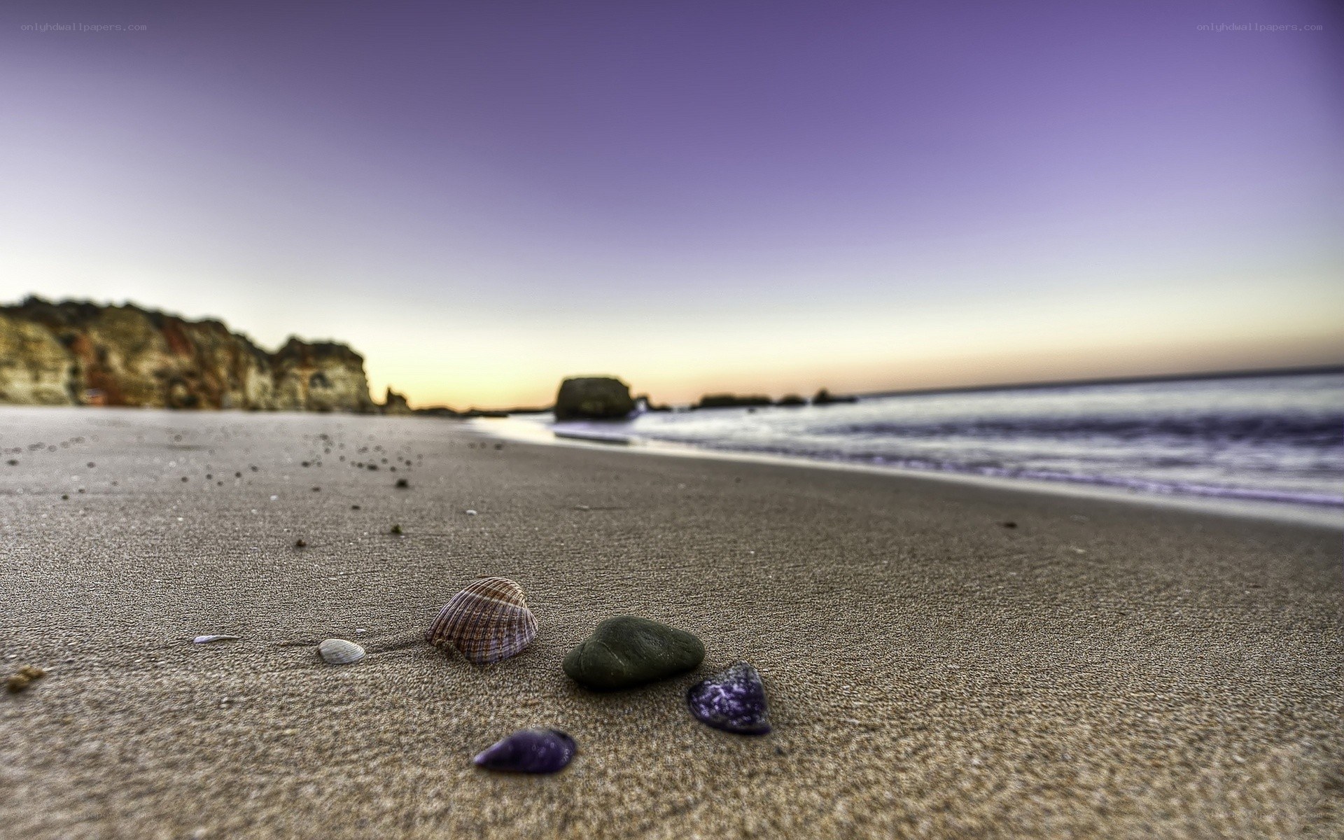 Seashells on a beach at sunset