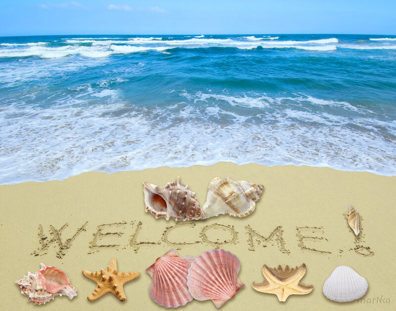 Seashells on Beach — Blue, Serene, Afternoon, Photograph, Starfish
