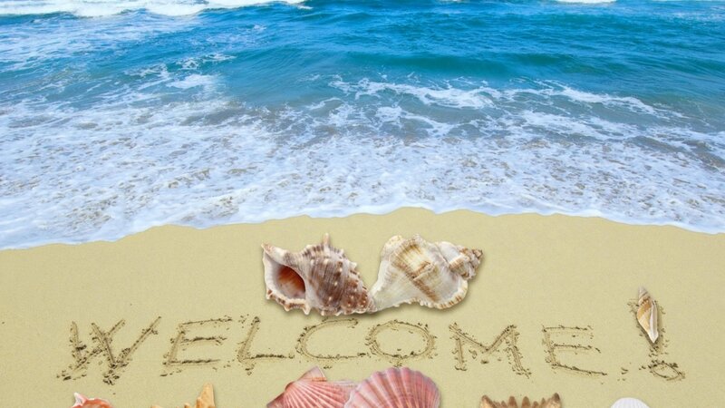 Seashells on Beach — Blue, Serene, Afternoon, Photograph, Waves