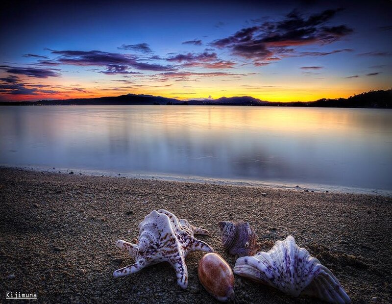 Seashells on Beach — Blue, Serene, Sunset, Photograph