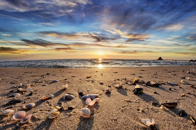 Seashells on Beach — Blue, Serene