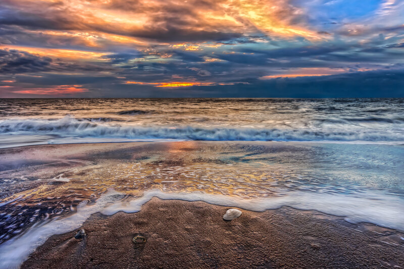 Seashells on Beach — Orange, Dramatic