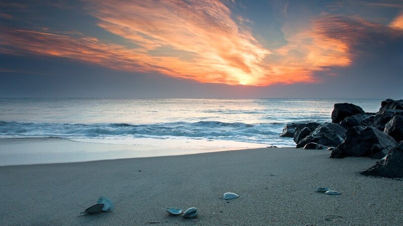 Seashells on Beach — Orange, Serene, Sunset