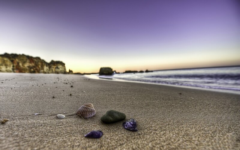 Seashells on Beach — Purple, Serene, Sunset, Photograph, Sand