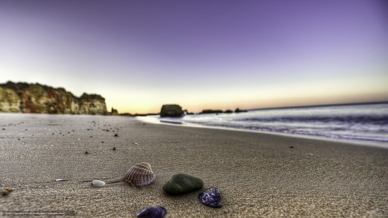 Seashells on Beach — Purple, Serene, Sunset, Photograph
