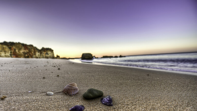 Seashells on Beach — Purple, Serene, Sunset