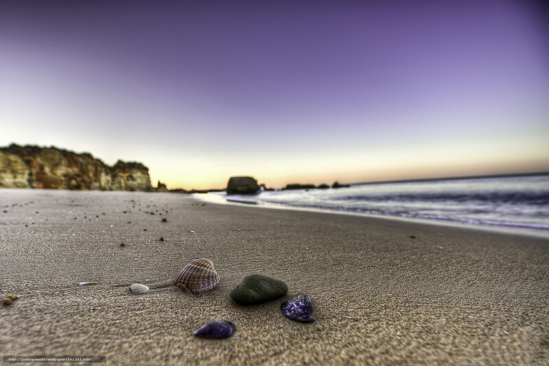 Seashells on Beach — Purple, Serene