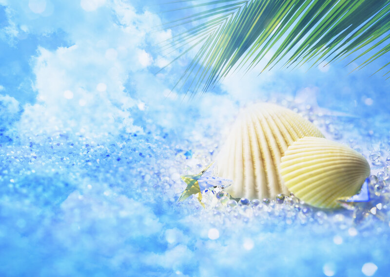 Seashells on Blue Sand — Serene, Summer, Photograph