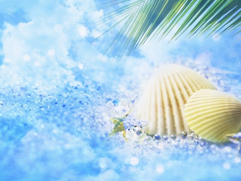 Seashells on Blue Sand — Serene