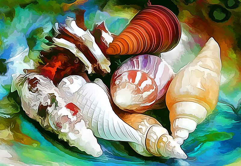 Seashells on Colorful Background