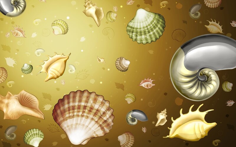 seashells on golden background