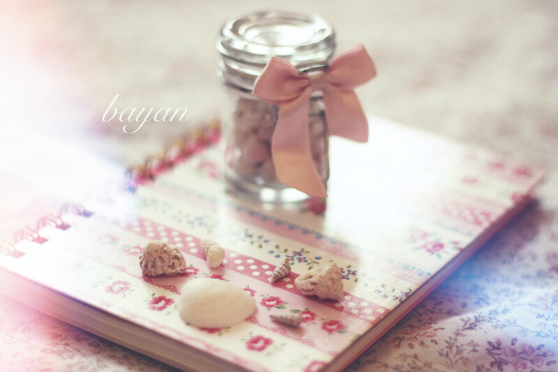 Seashells on Notebook
