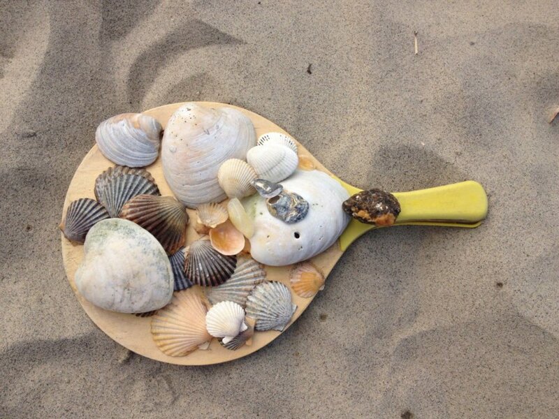 Seashells on Paddle