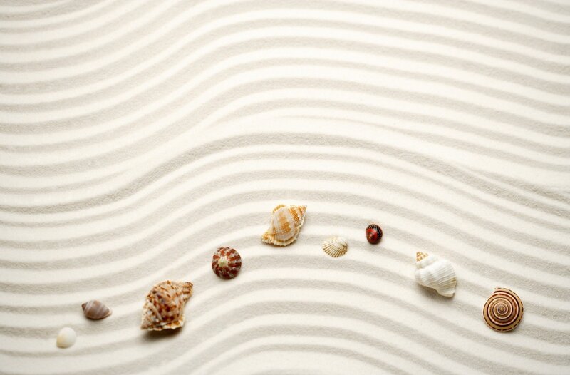 Seashells on raked sand