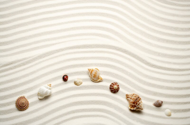 Seashells on Raked Sand — White