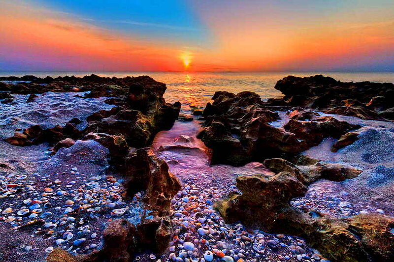 Seashells on Rocky Beach