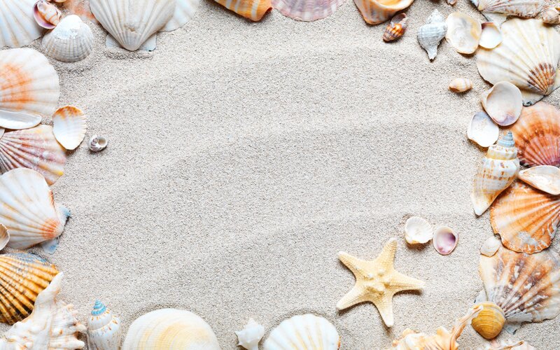 Seashells on Sand — Beige, Calm, Photograph, Starfish, Shells