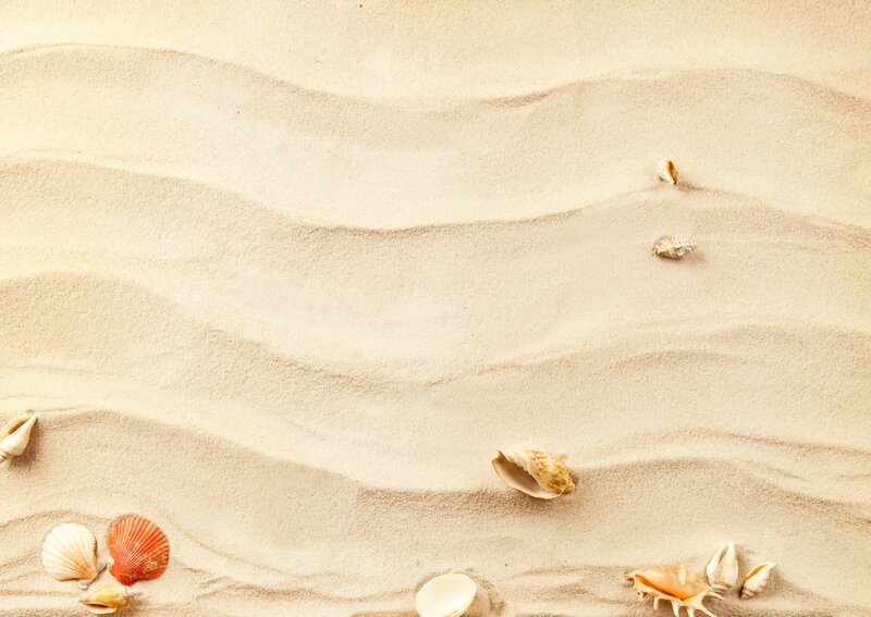 Seashells on Sand — Beige, Serene, Afternoon, Photograph, Shells