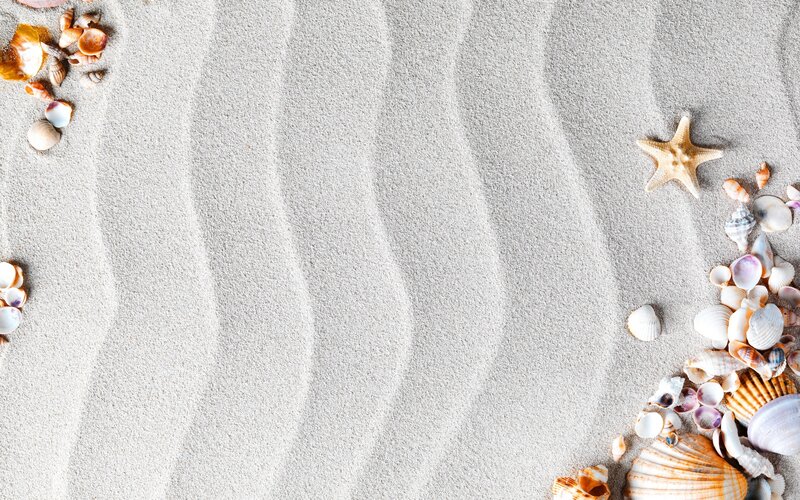 Seashells on Sand — Beige, Serene, Photograph, Starfish, Shells