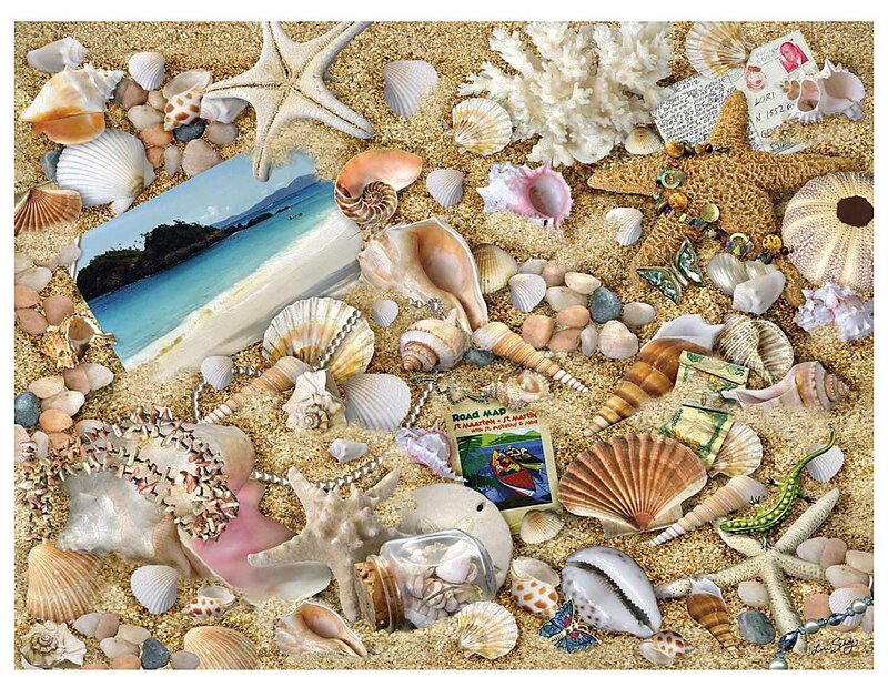 Seashells on Sand — Beige, Serene, Photograph, Starfish