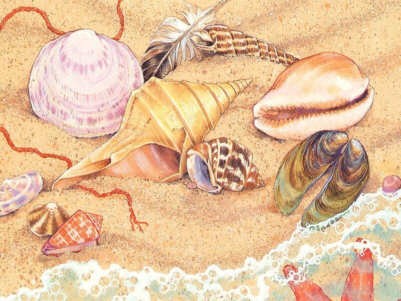 Seashells on Sand — Beige