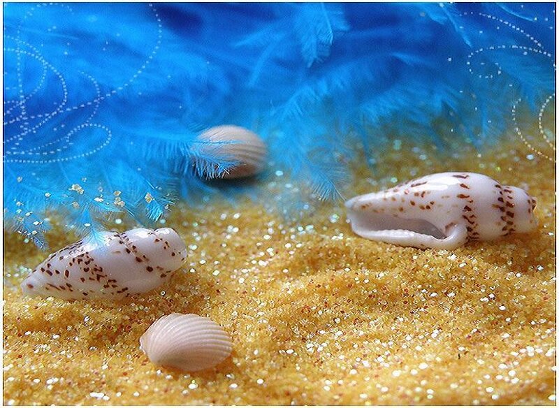 Seashells on Sand — Blue, Serene