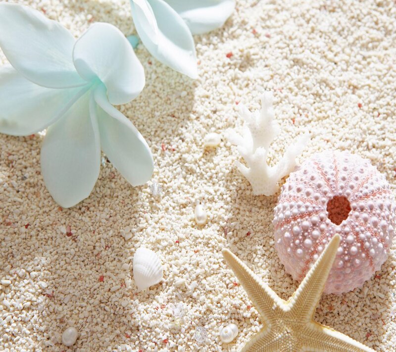Seashells on Sand — White, Serene