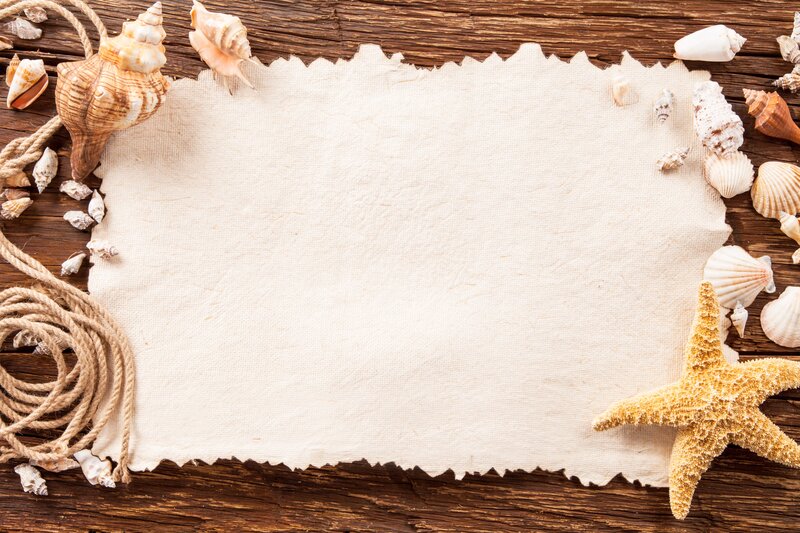 Seashells on Wood — Brown, Calm, Photograph