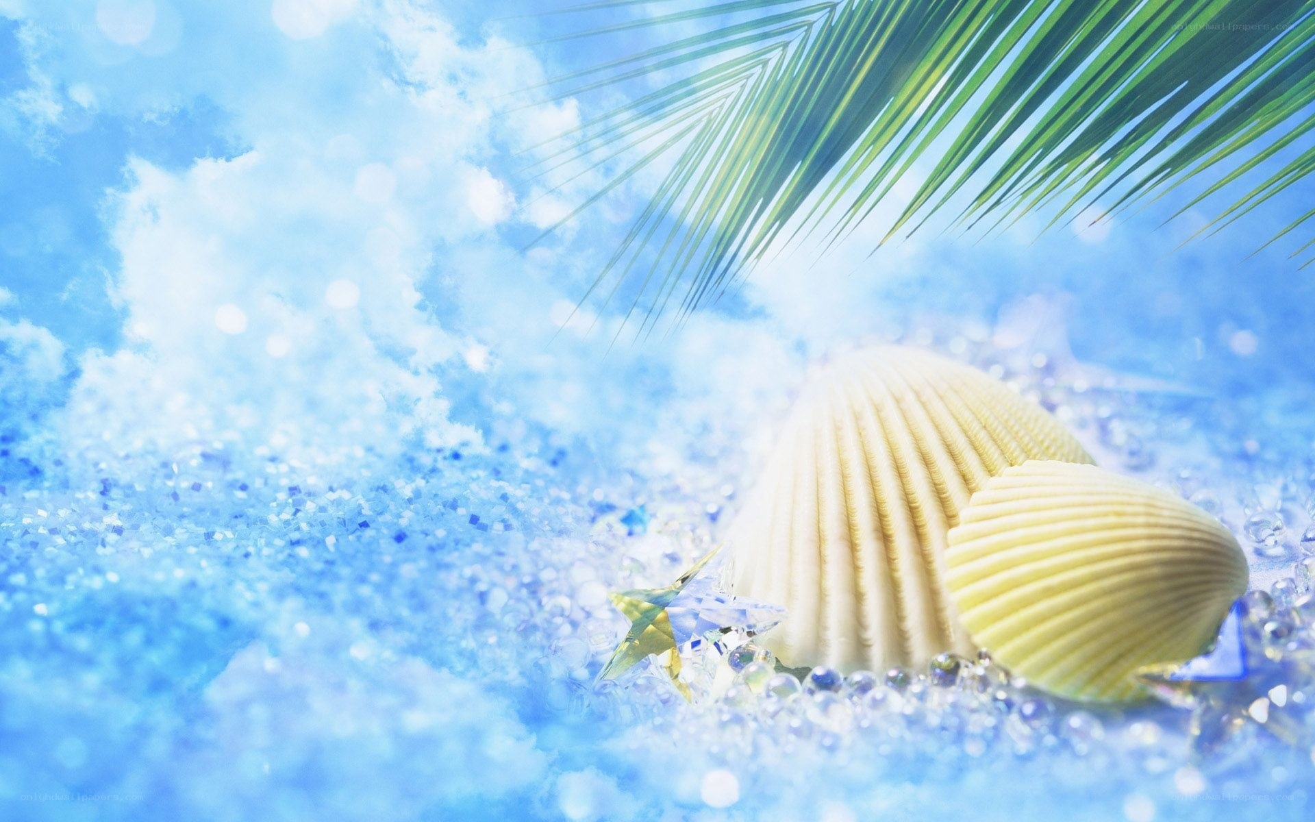 seashells under palm leaf