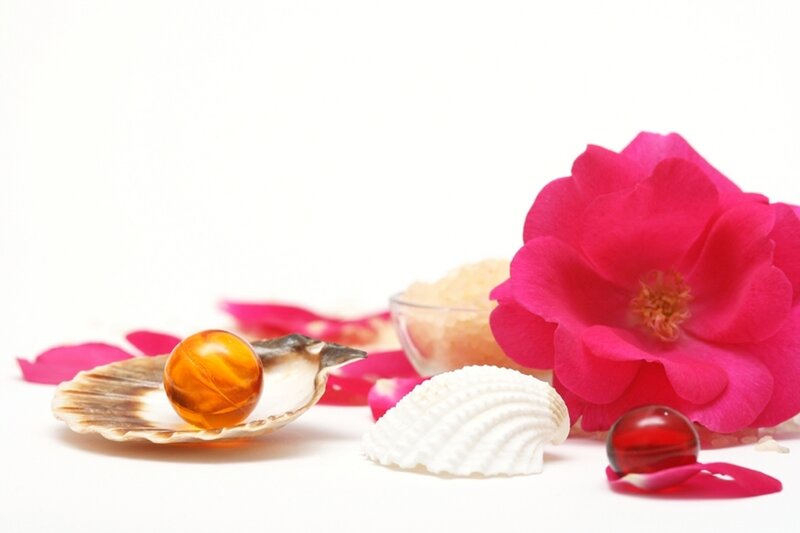 Seashells with Flower