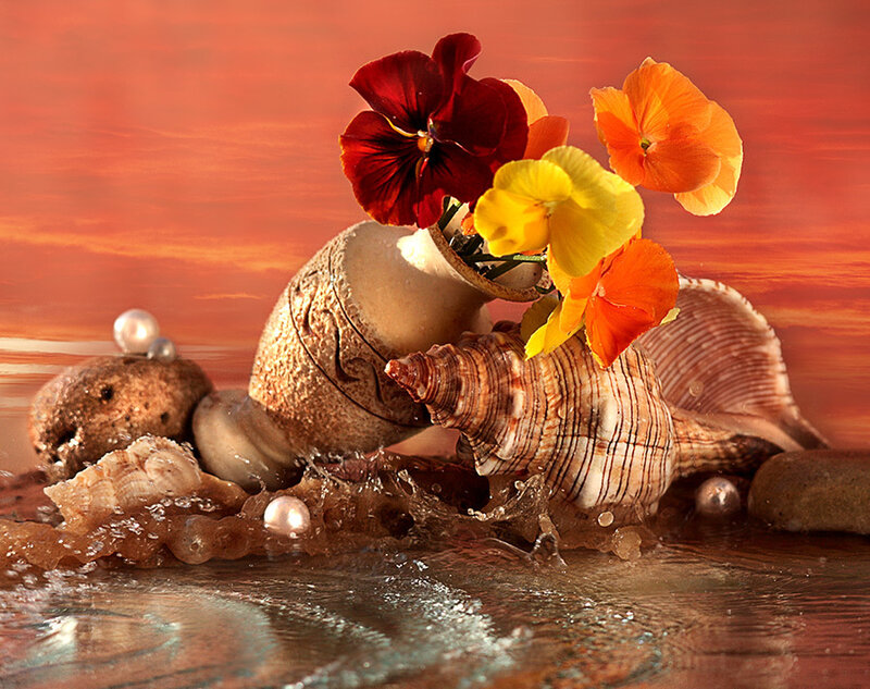 Seashells with flowers at sunset