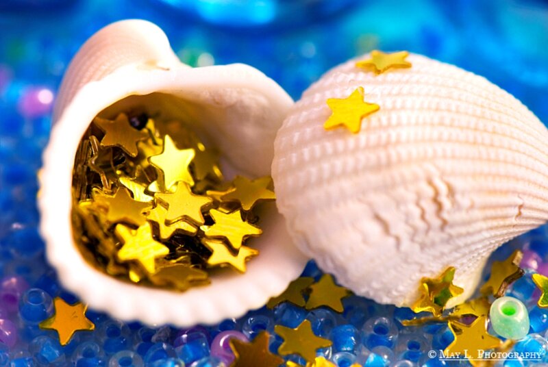 Seashells with Gold Stars
