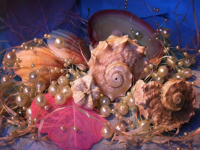 Seashells with Pearls