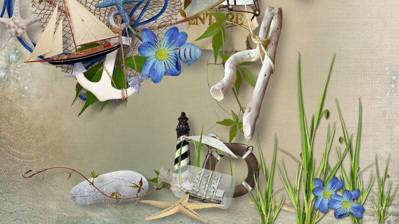 Seashore Decorative Arrangement