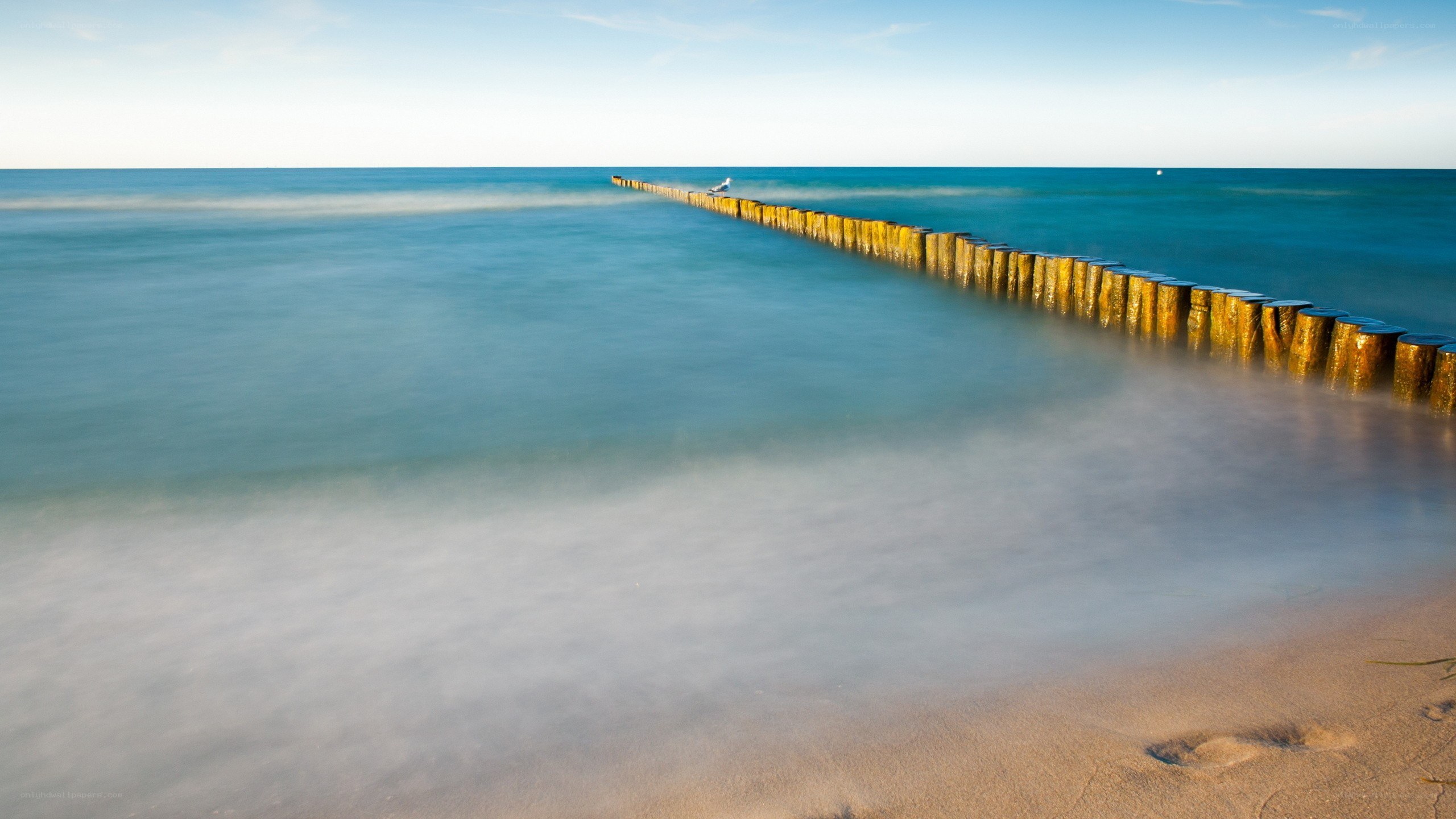 Seaside breakwater at dawn