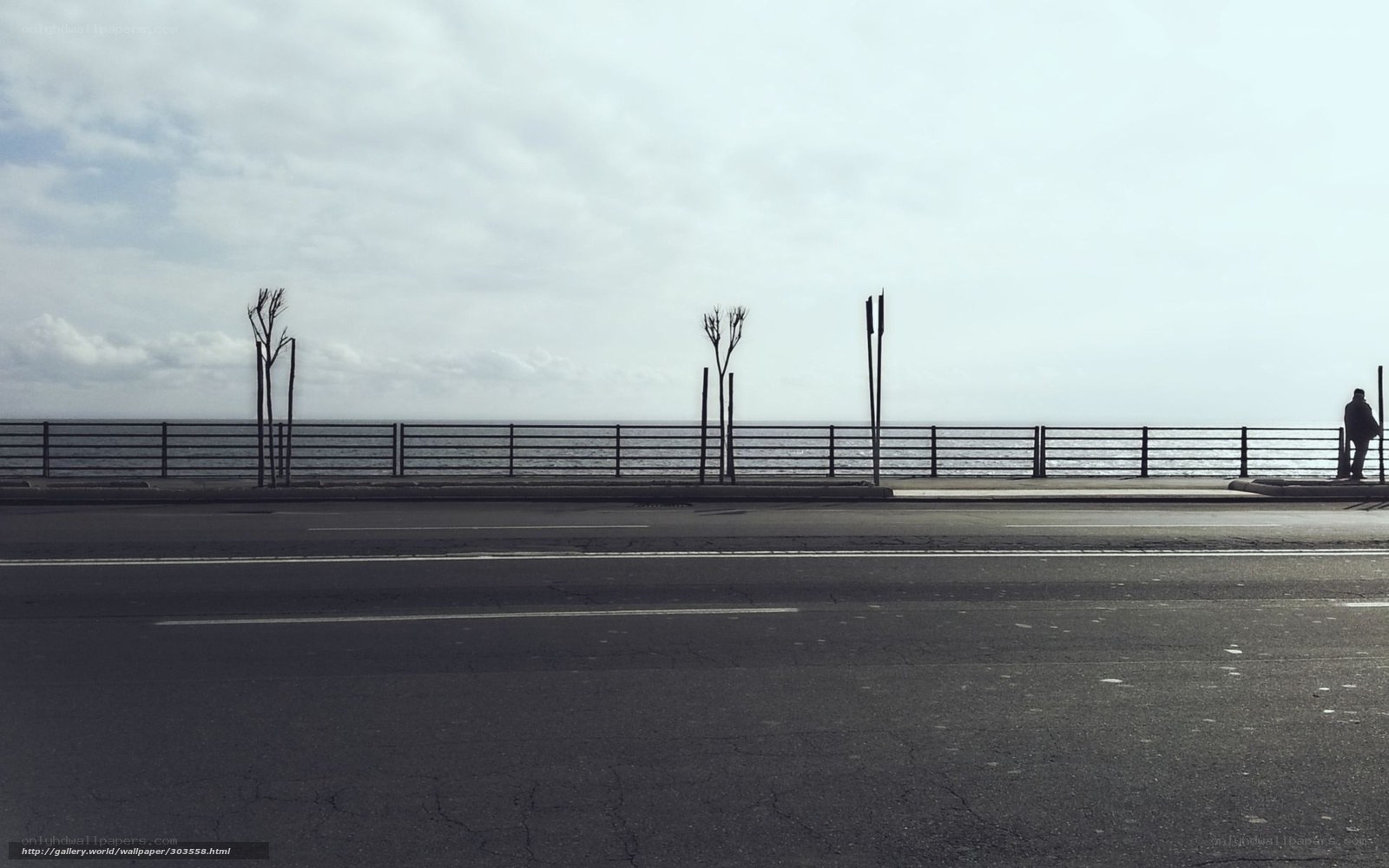 Seaside road with a person