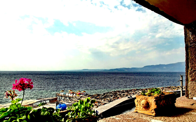 Seaside view with flowers