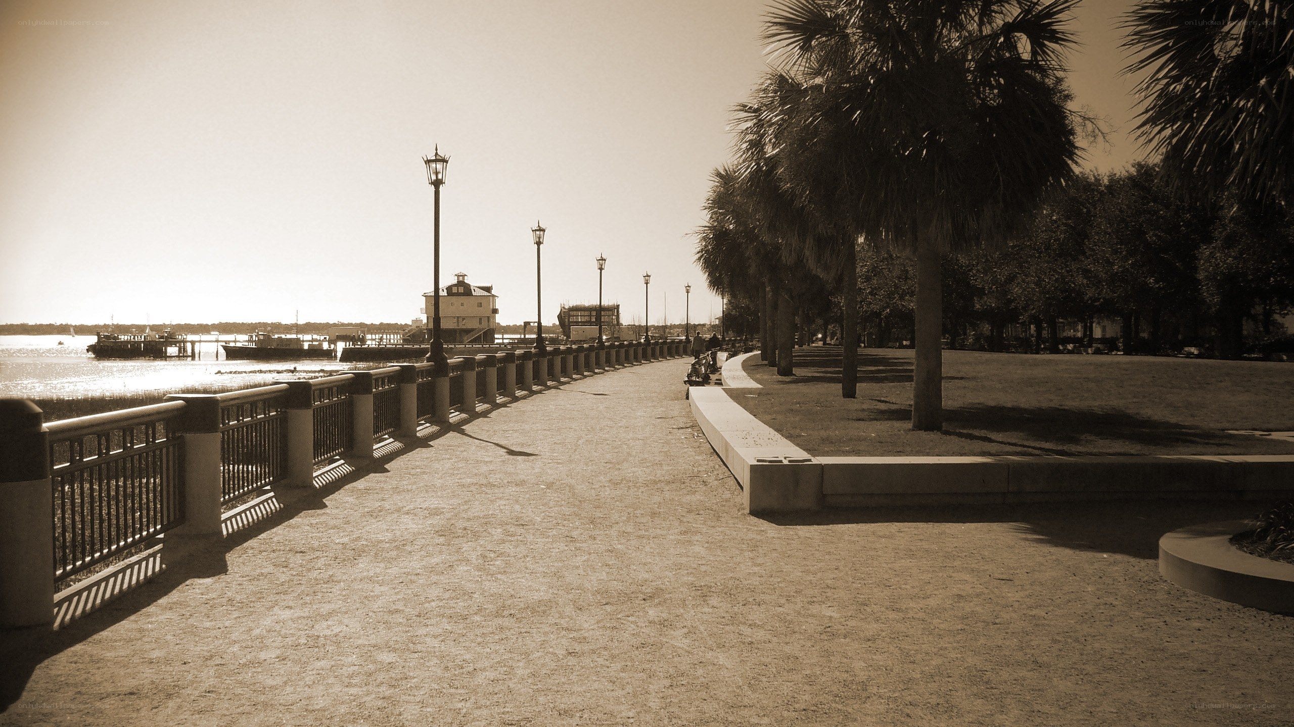 seaside walkway with palm trees