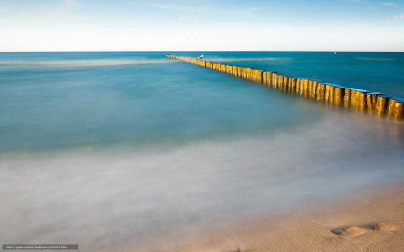 Seaside with wooden breakwater