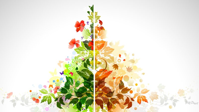 Seasonal Floral Design