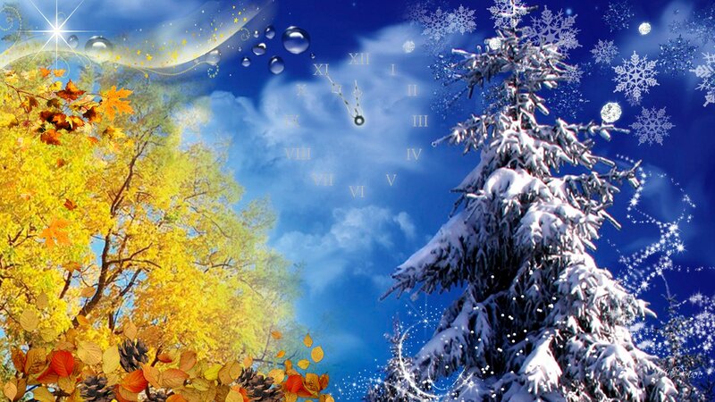 Seasonal Tree Contrast