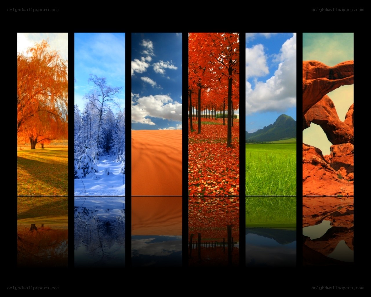 Seasons and landscapes collage
