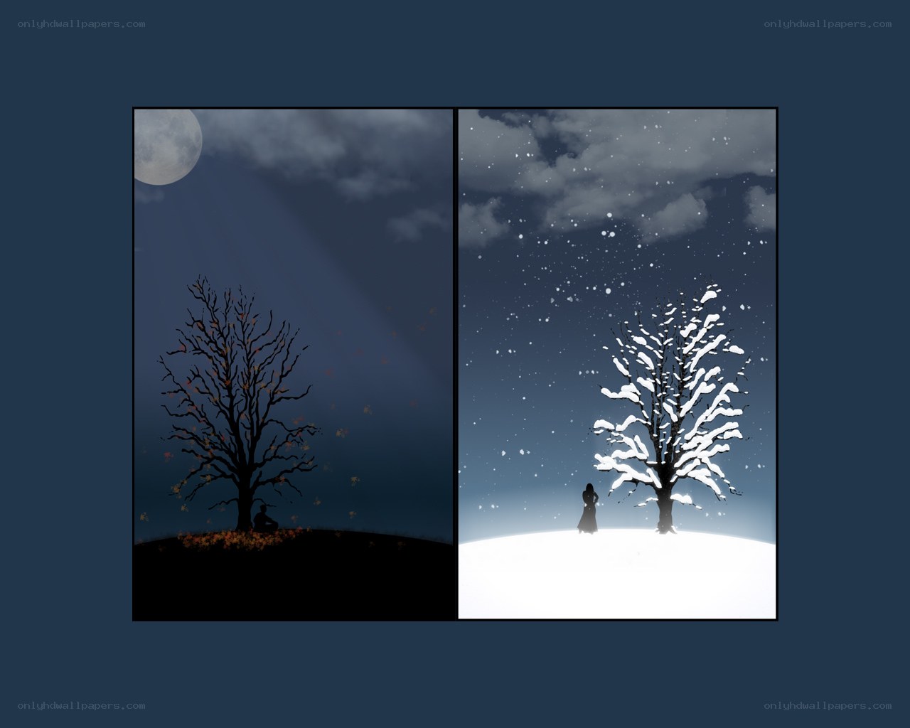 Seasons of solitude
