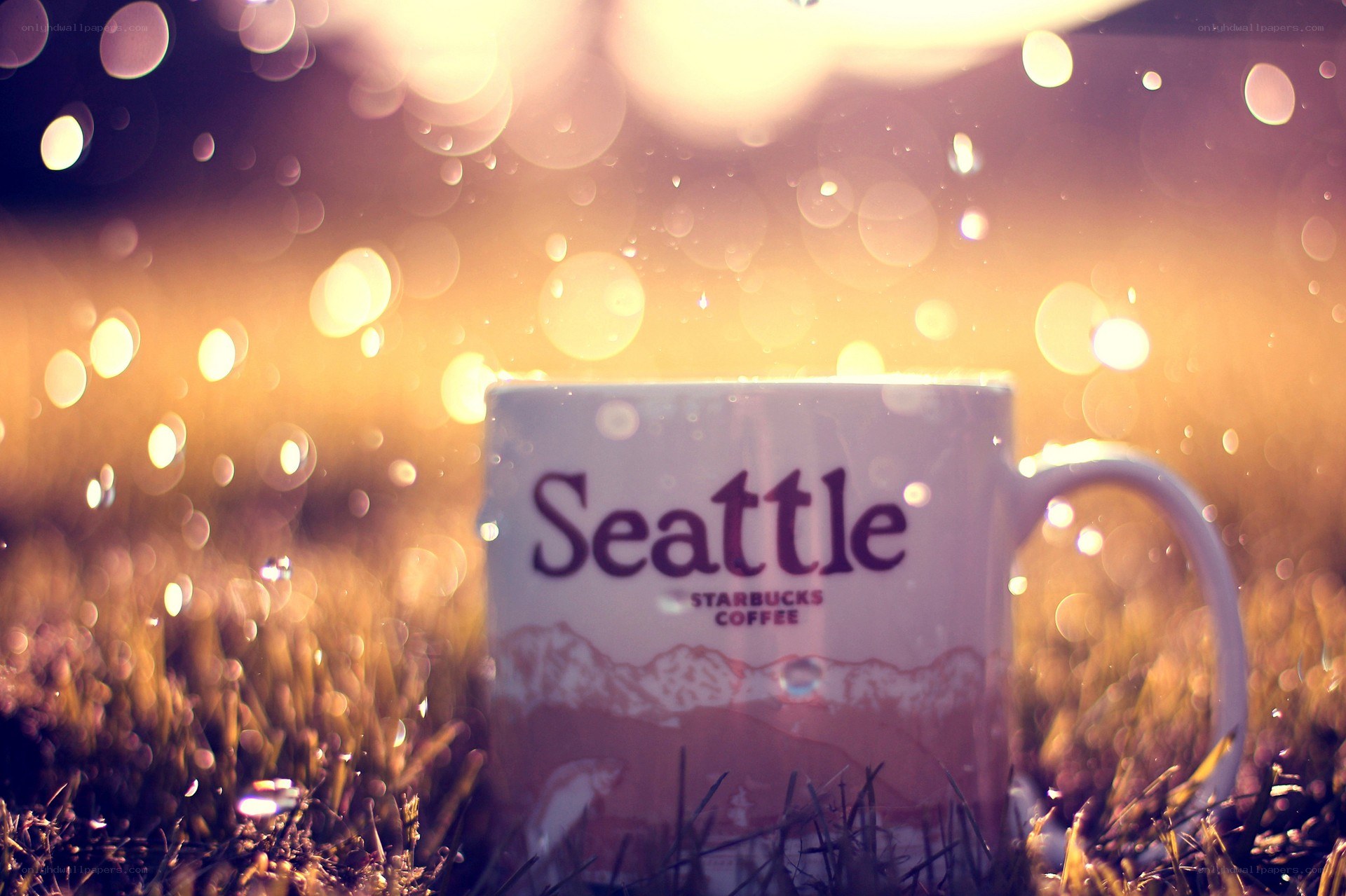 Seattle coffee mug in grass