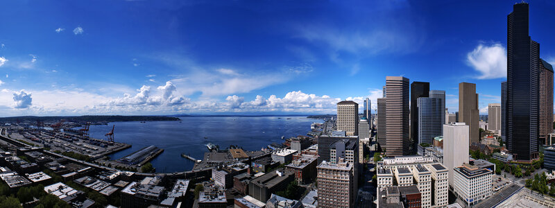 Seattle skyline and harbor view