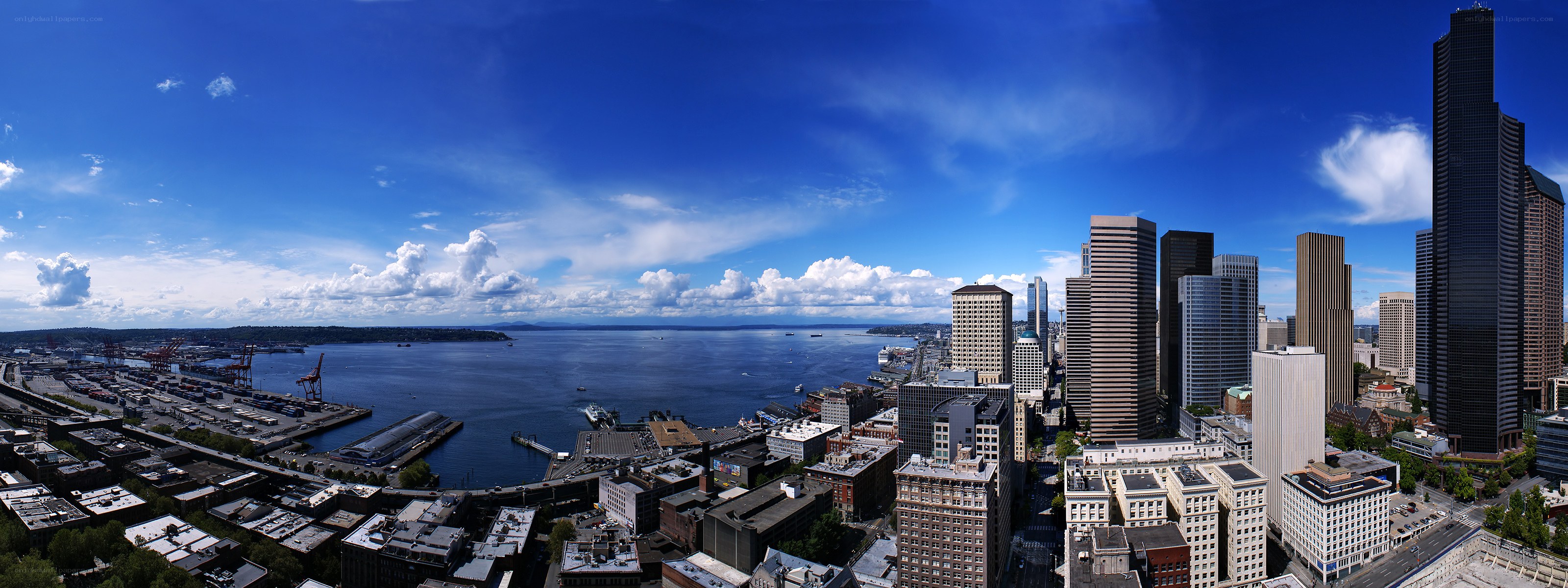 Seattle skyline and harbor view