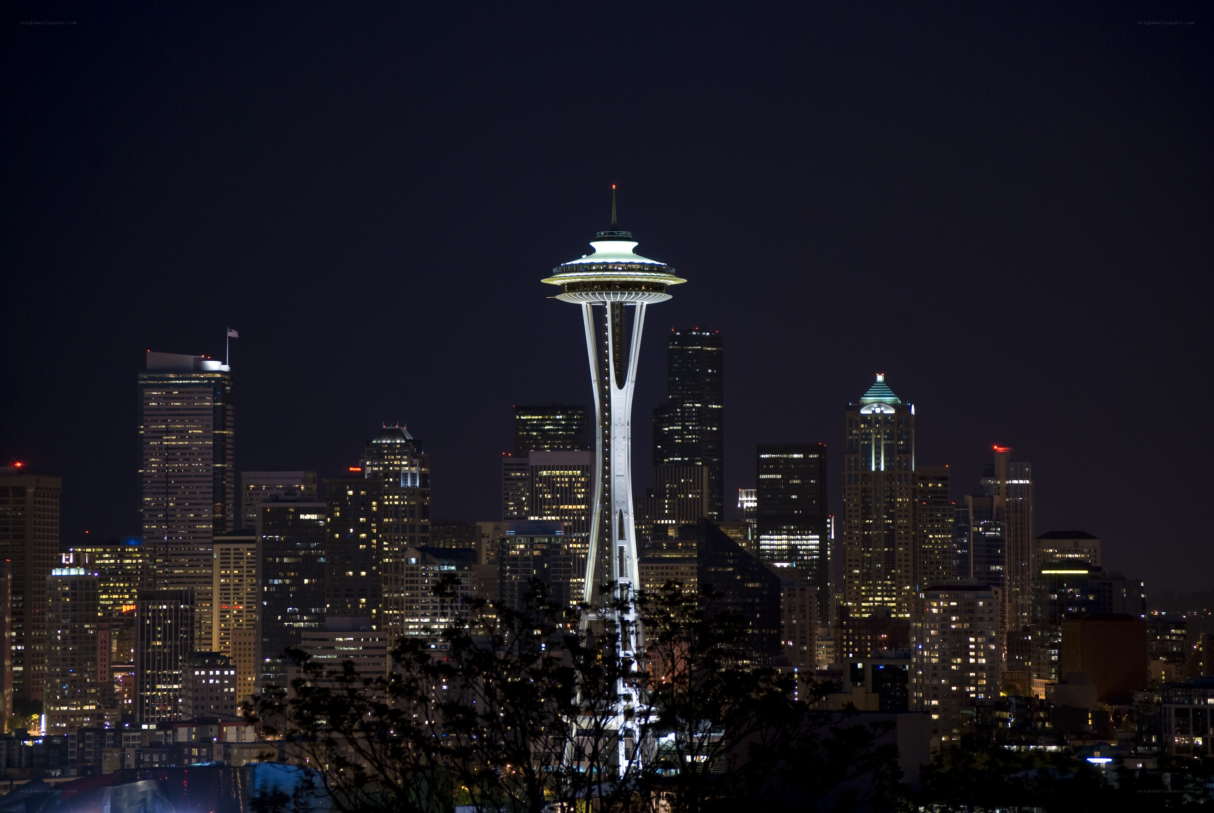 Seattle skyline at night