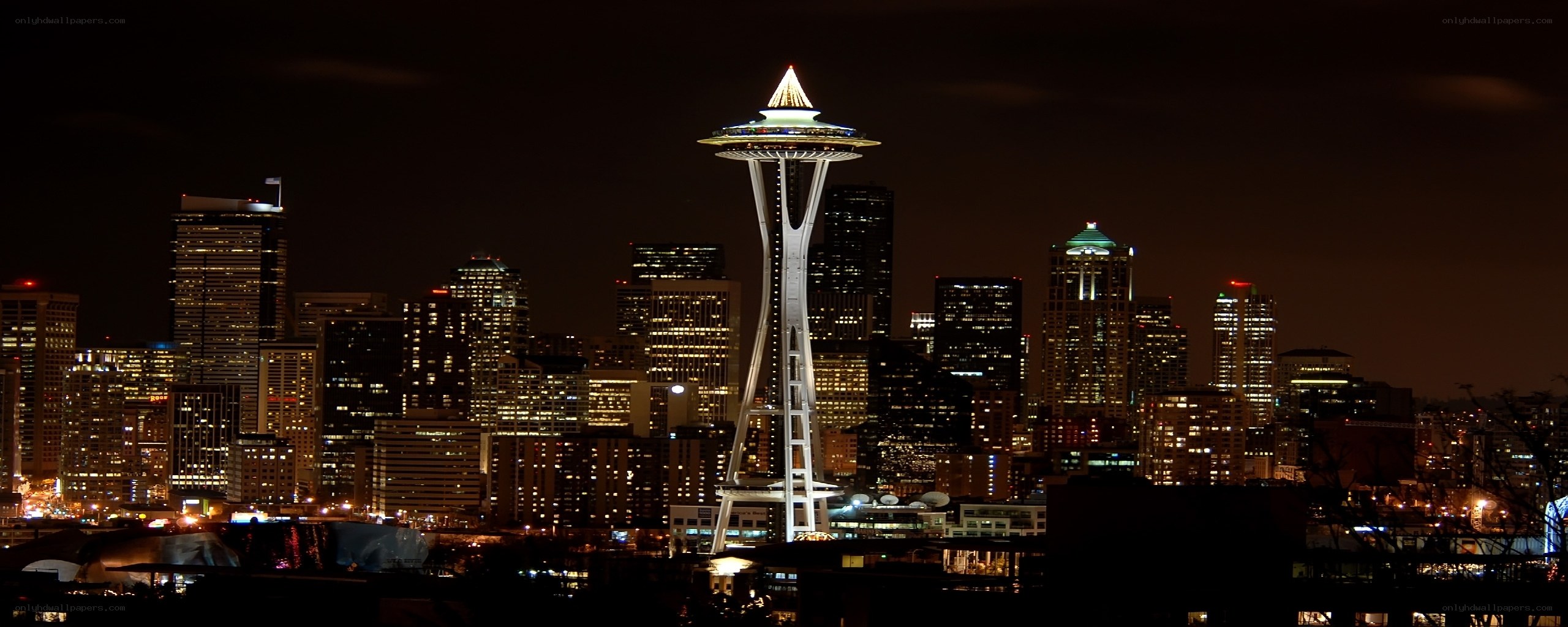 Seattle skyline at night
