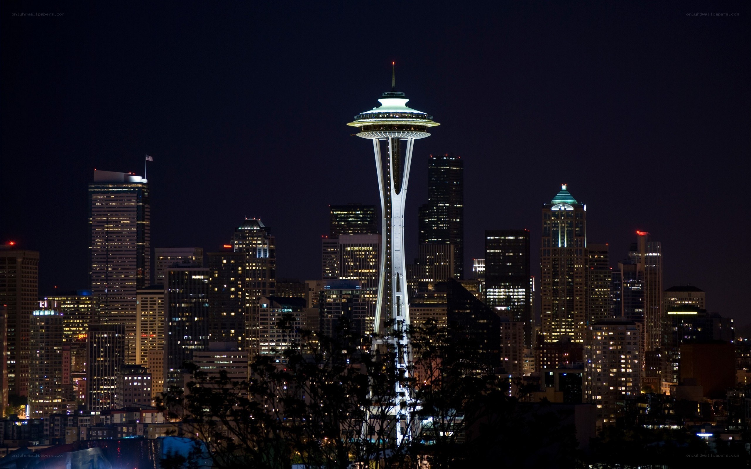 Seattle skyline at night