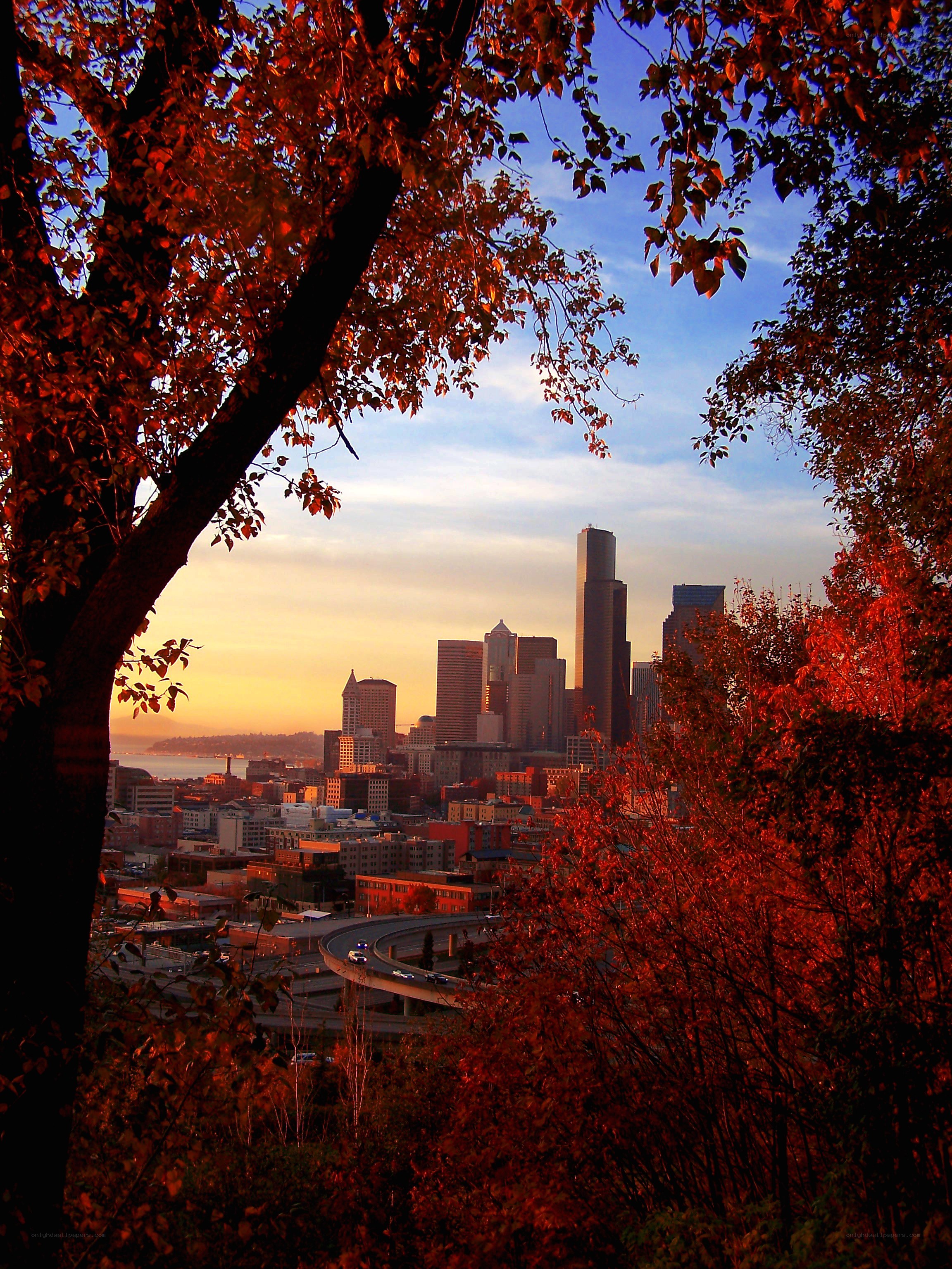 Seattle skyline in autumn